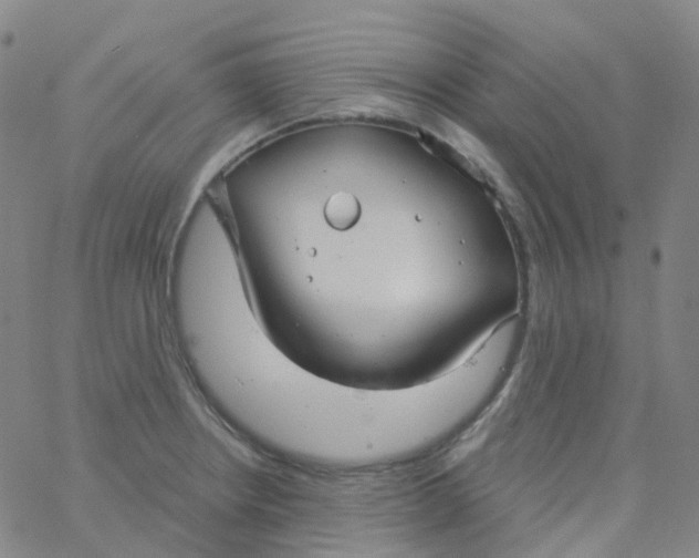 X0000061751234200512231517