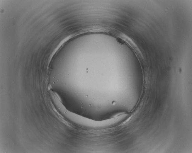 X0000061751236200512231517