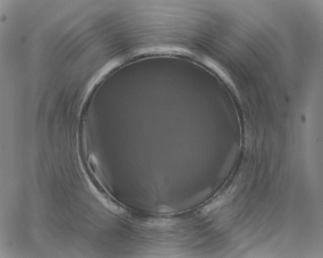 X0000061751237200512231517