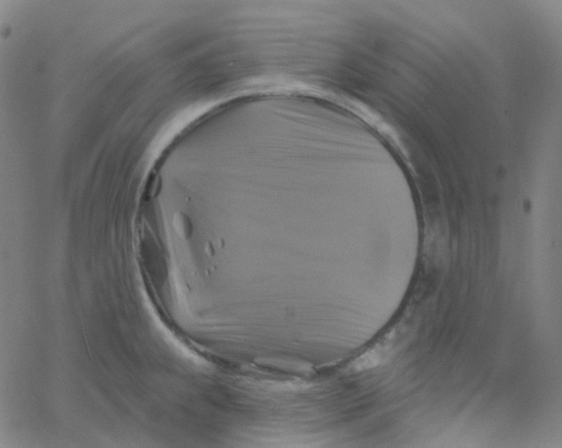 X0000061751239200512231517