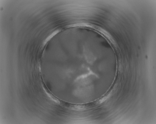 X0000061751241200512231517