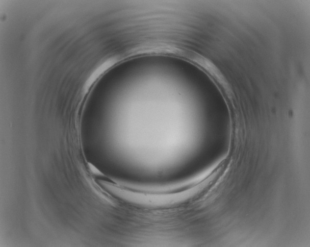 X0000061751242200512231517