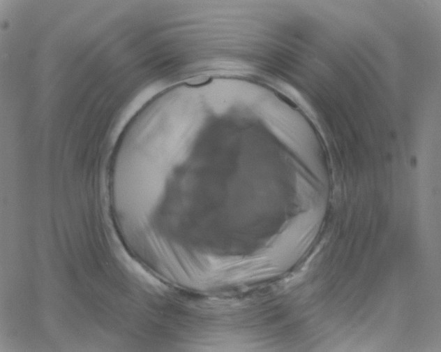 X0000061751243200512231517