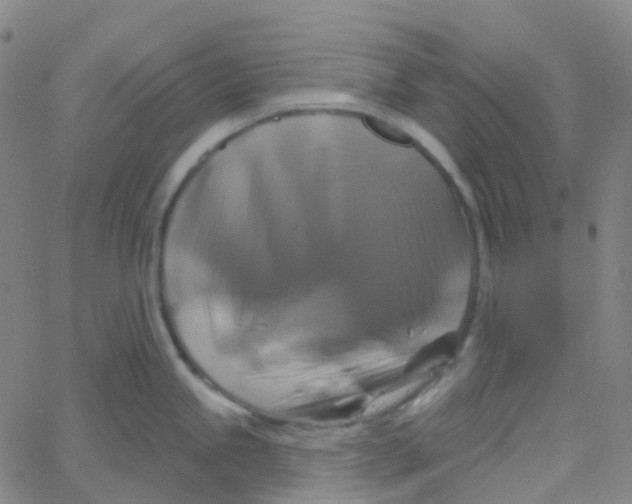 X0000061751245200512231517