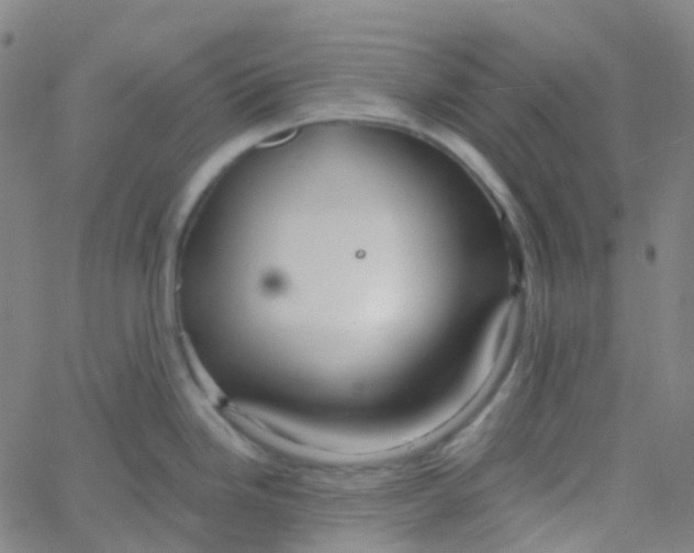 X0000061751246200512231517