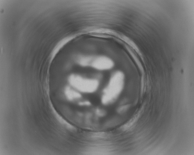 X0000061751247200512231517