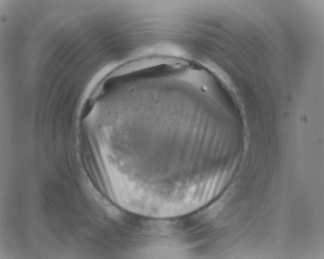 X0000061751248200512231517