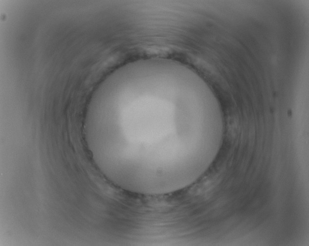 X0000061751249200512231517