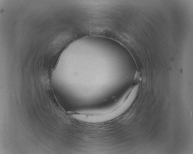 X0000061751252200512231517