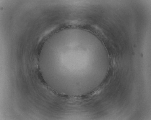 X0000061751253200512231517