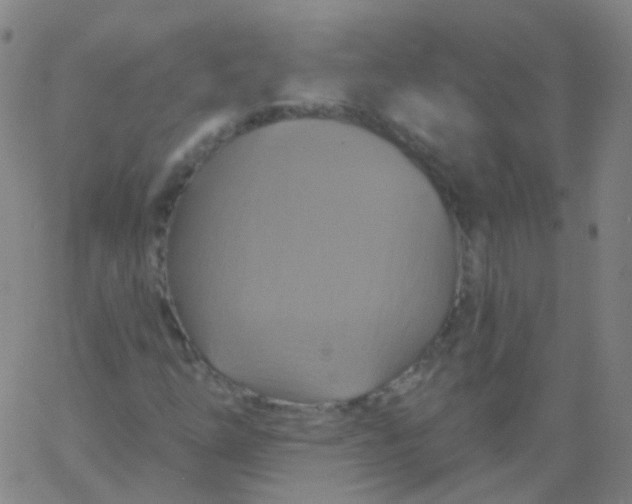 X0000061751254200512231517