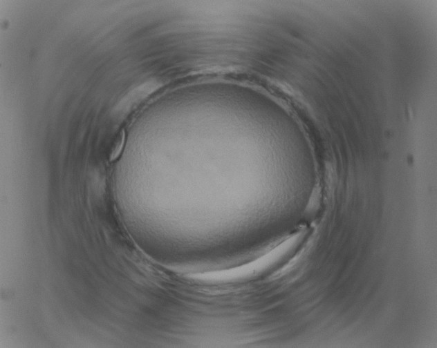 X0000061751257200512231517