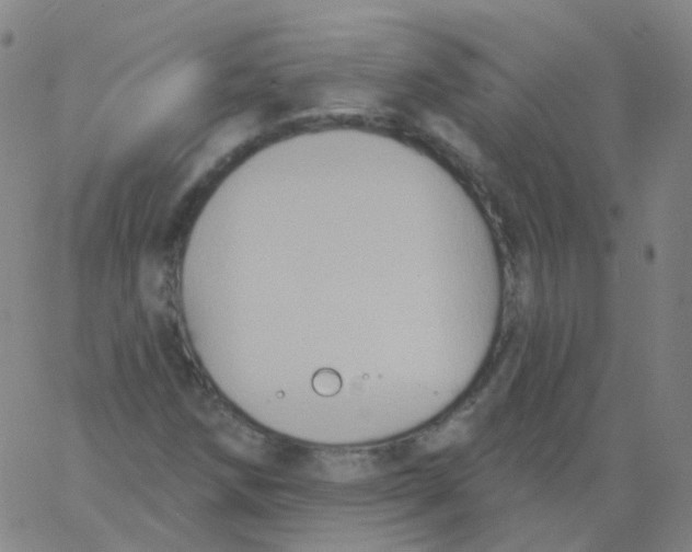 X0000061751258200512231517