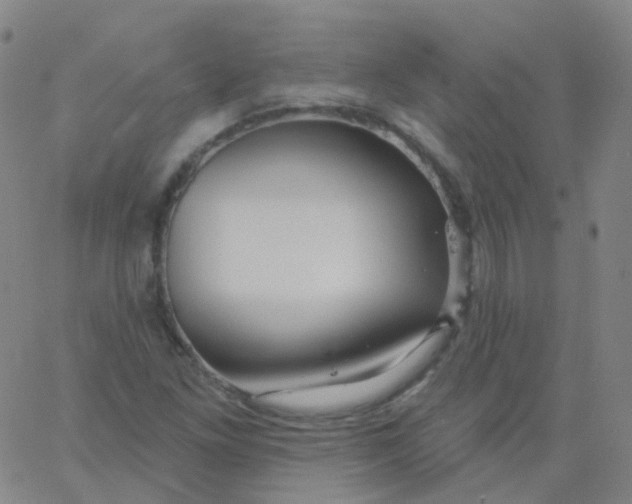 X0000061751261200512231516