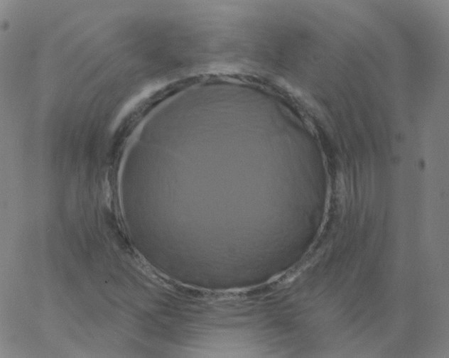 X0000061751262200512231516