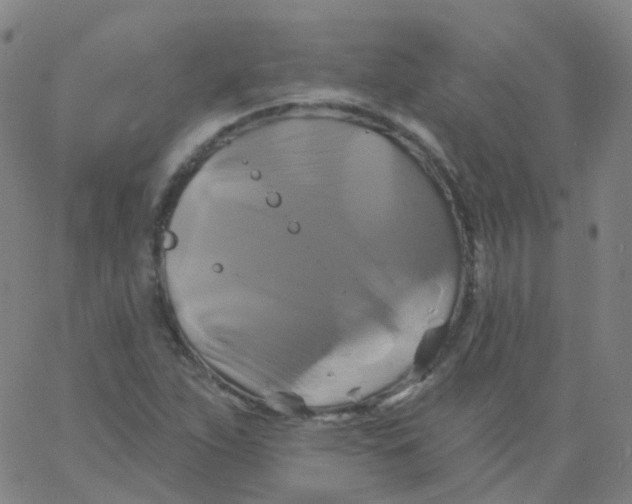 X0000061751263200512231516