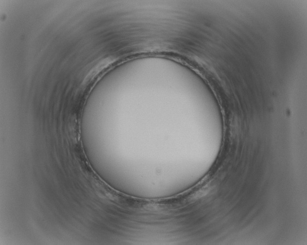 X0000061751265200512231516