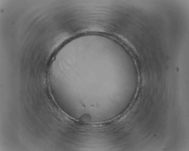 X0000061751266200512231516