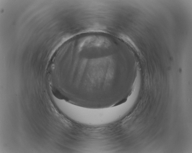 X0000061751268200512231516