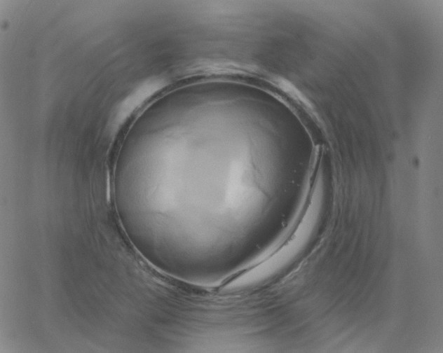 X0000061751269200512231516