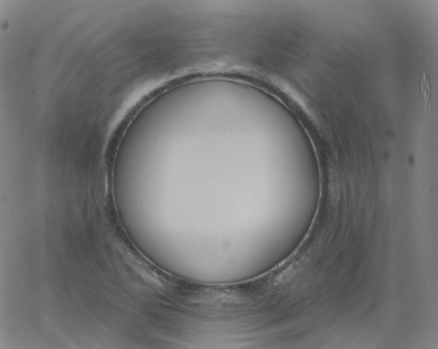 X0000061751270200512231516