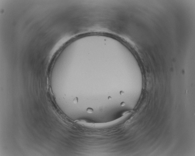 X0000061751271200512231516