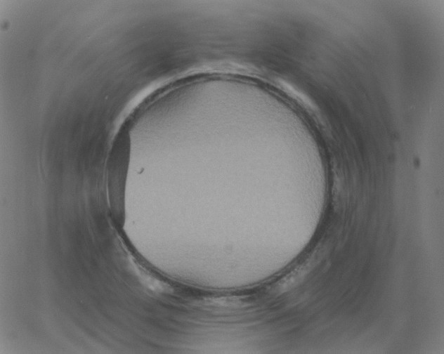 X0000061751272200512231516