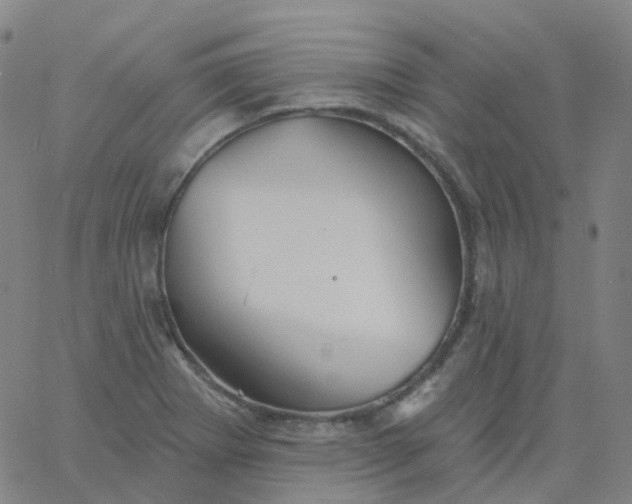 X0000061751273200512231516