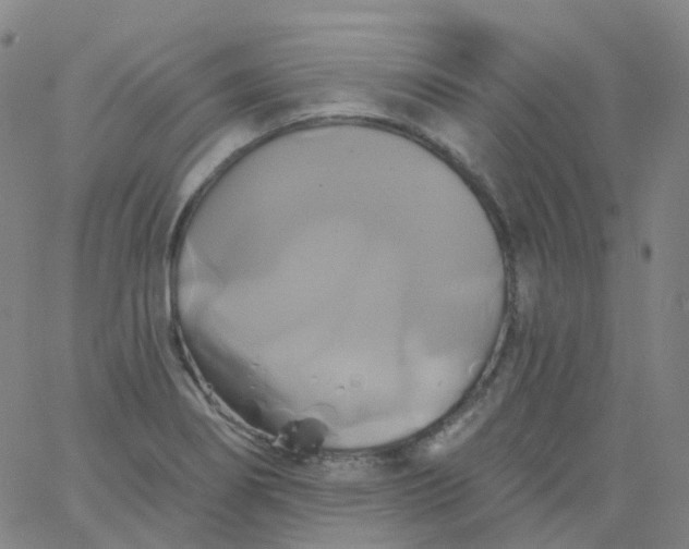 X0000061751274200512231516