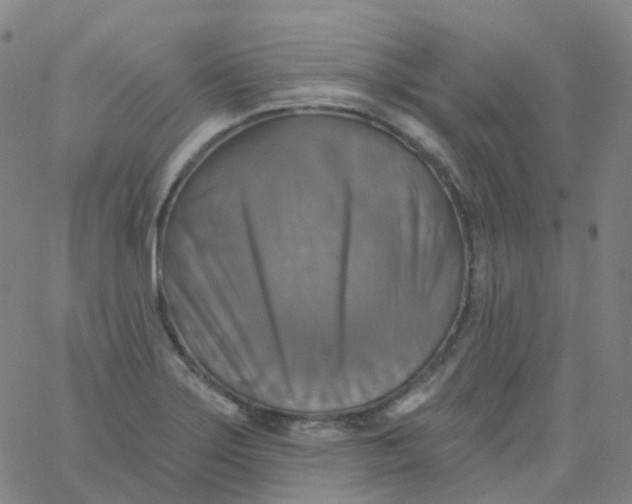 X0000061751275200512231516