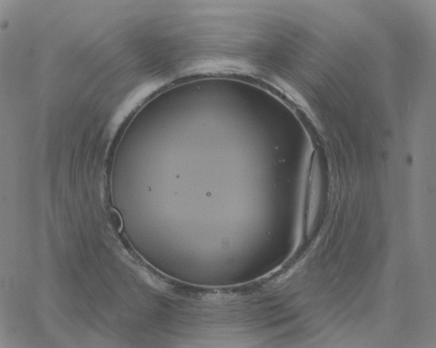 X0000061751277200512231516