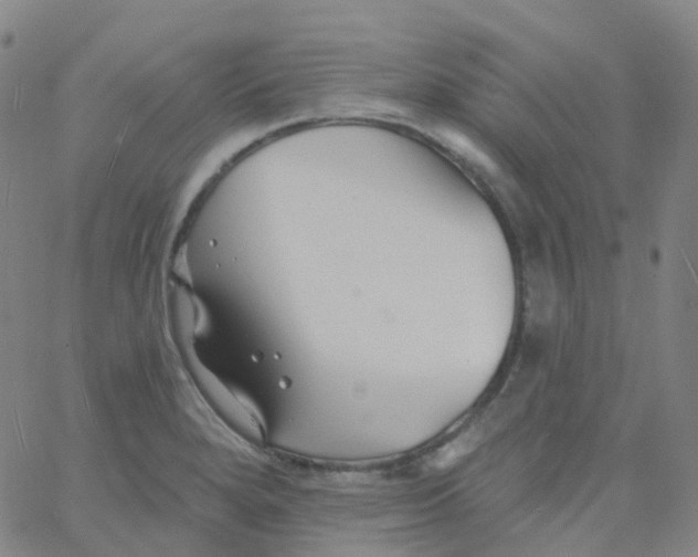 X0000061751280200512231516