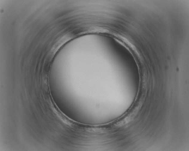 X0000061751281200512231516