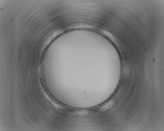 X0000061751282200512231516