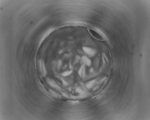 X0000061751283200512231516