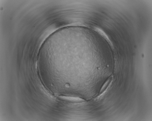 X0000061751284200512231516