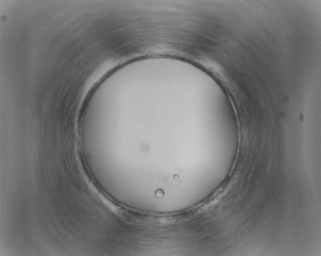 X0000061751286200512231516