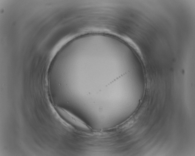 X0000061751287200512231516