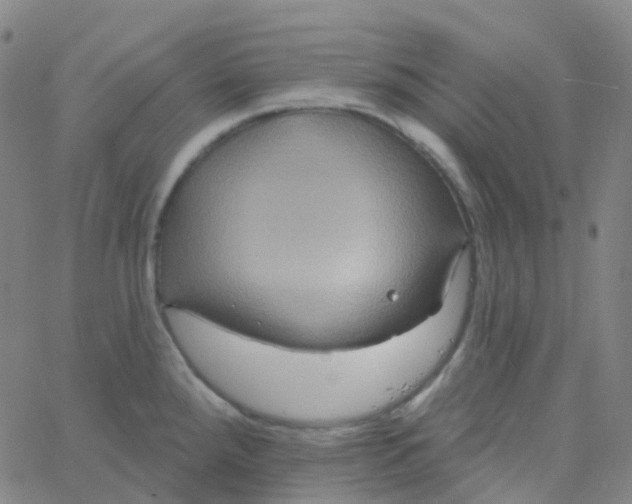 X0000061751288200512231516