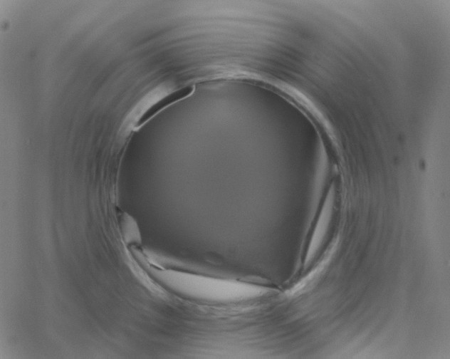 X0000061751289200512231516