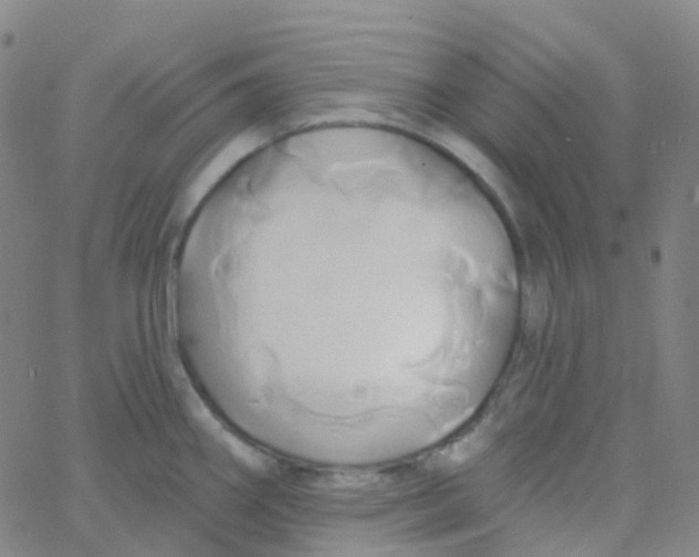 X0000061751290200512231516