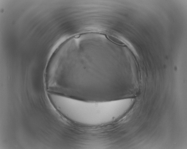 X0000061751291200512231516