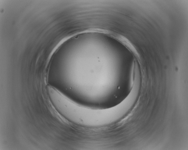 X0000061751292200512231516