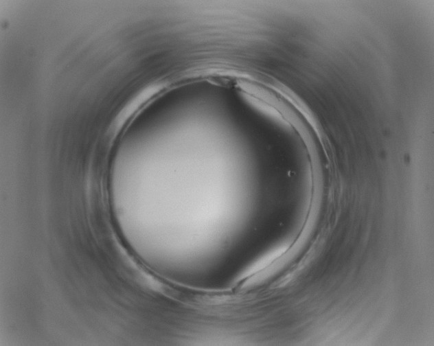 X0000061751293200512231516