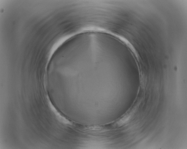 X0000061751295200512231516