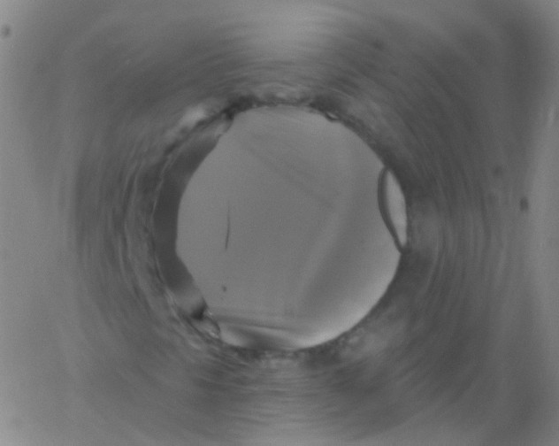 X0000061751297200512231515