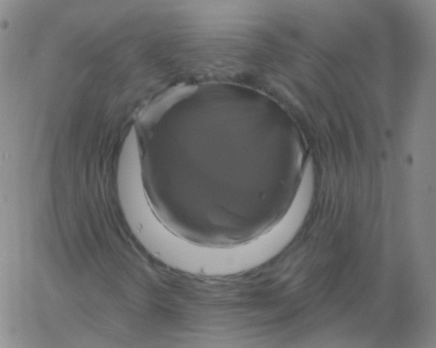 X0000061751298200512231515