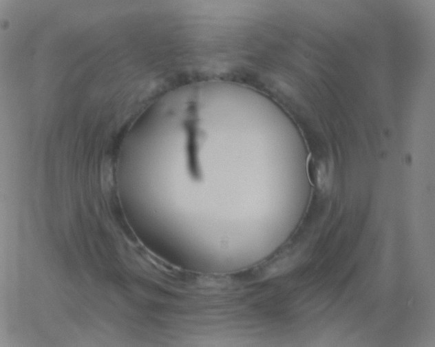 X0000061751299200512231515