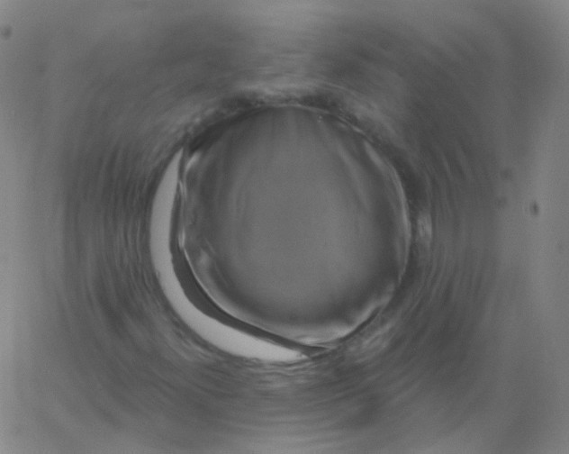 X0000061751300200512231515