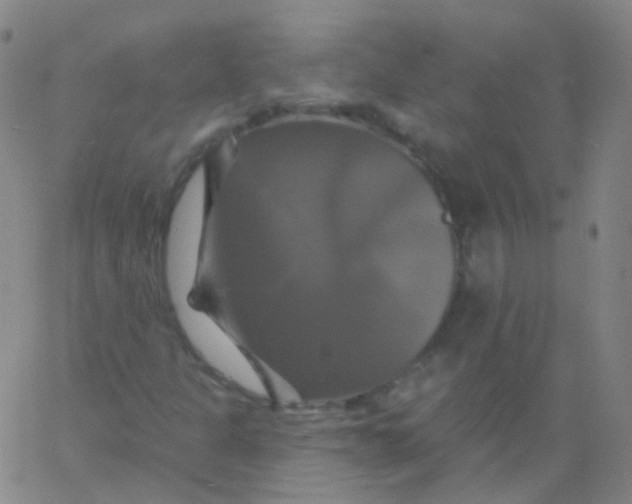 X0000061751301200512231515